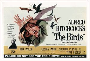 Birds film poster